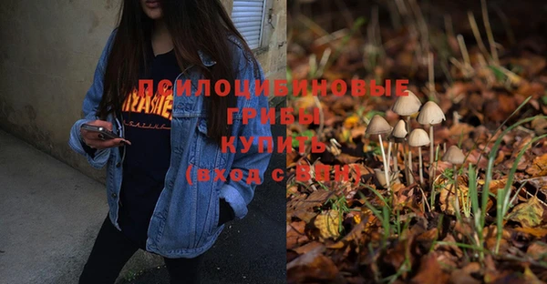 MDMA Осинники
